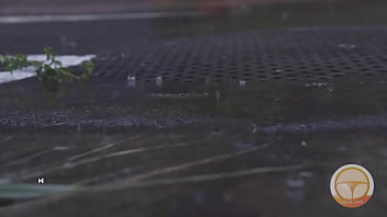 亚洲情色 2024 | XXXXVideo