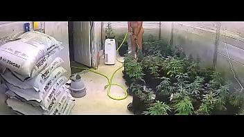 Naked Gardener...