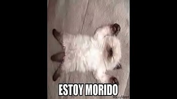 Uff Men Que Wen Memingo 1000000000000000000000...