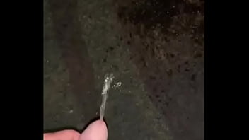 O Sacana...