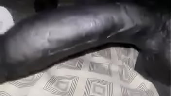 Amou Pau Negro...