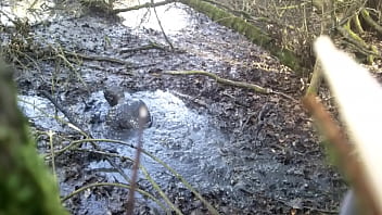 Sinking & Getting Covered In Swamp...
