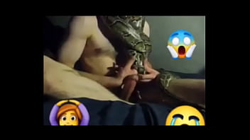 Baisse Le Serpent...