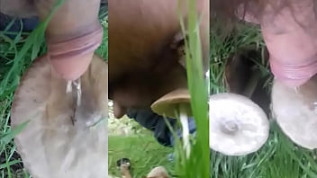 Voglia Di Cacare In Cerca Di Funghi...