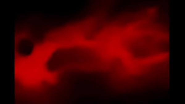 cory na casa branca evangelion anime