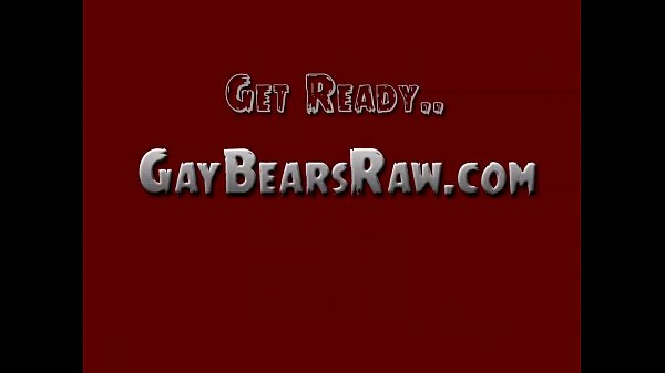 Big Gay Bear Cocks